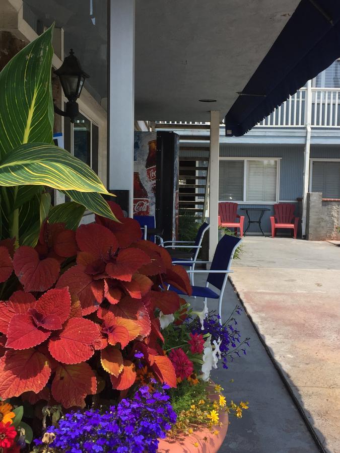The Shores Inn Ventura Eksteriør bilde